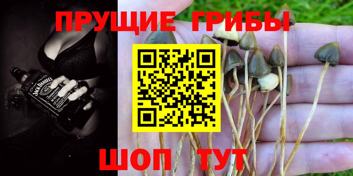 Тихвин  где можно купить   Вход с VPN  Псилоцибиновые грибы ЛСД 