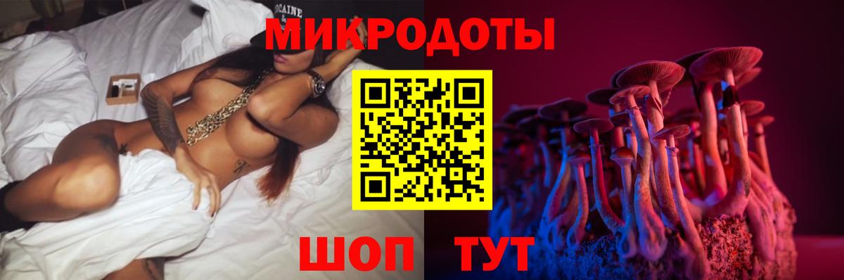 Псилоцибиновые грибы Psilocybine cubensis Тихвин